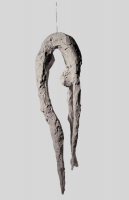 https://www.sepppfiffner.ch/files/gimgs/th-19_PhotoRoom-20211023_172710.png